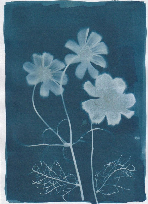Cosmos A4