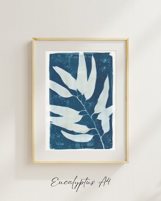 Eucalyptus A4