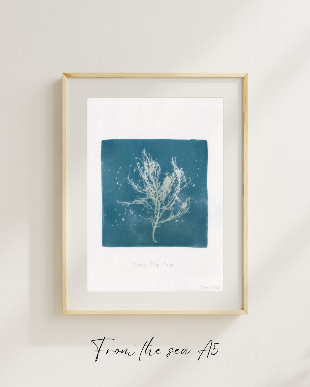 From the Sea A5 set of 3