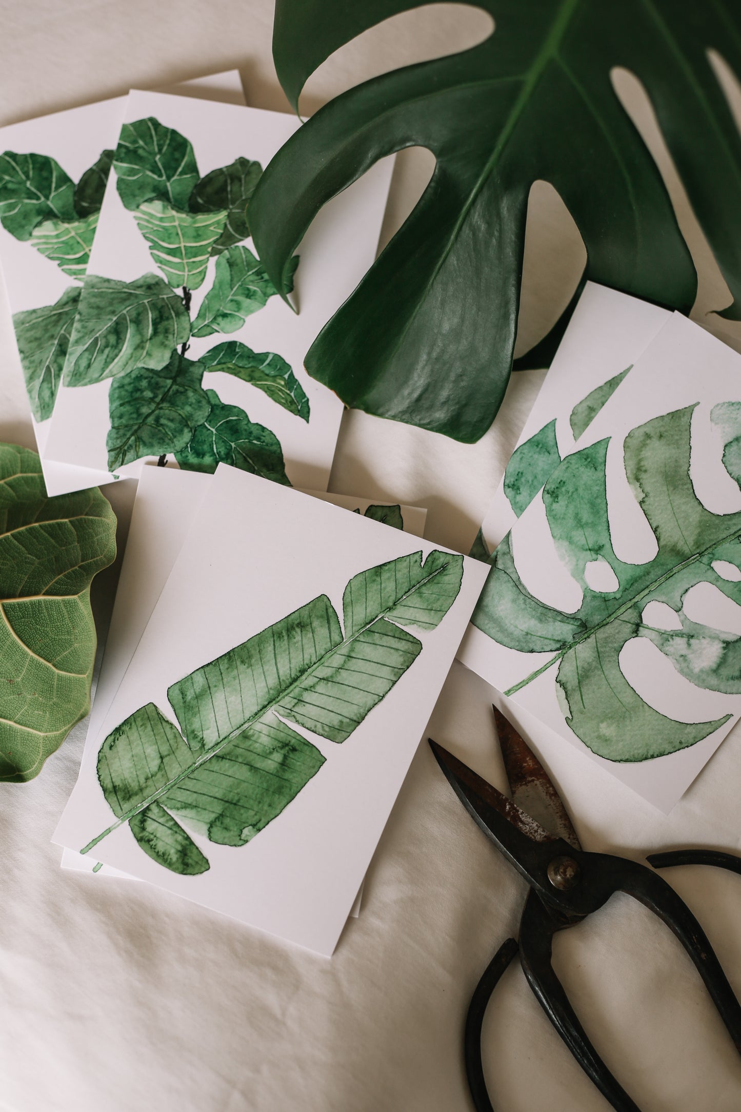 Botanical Greeting Cards