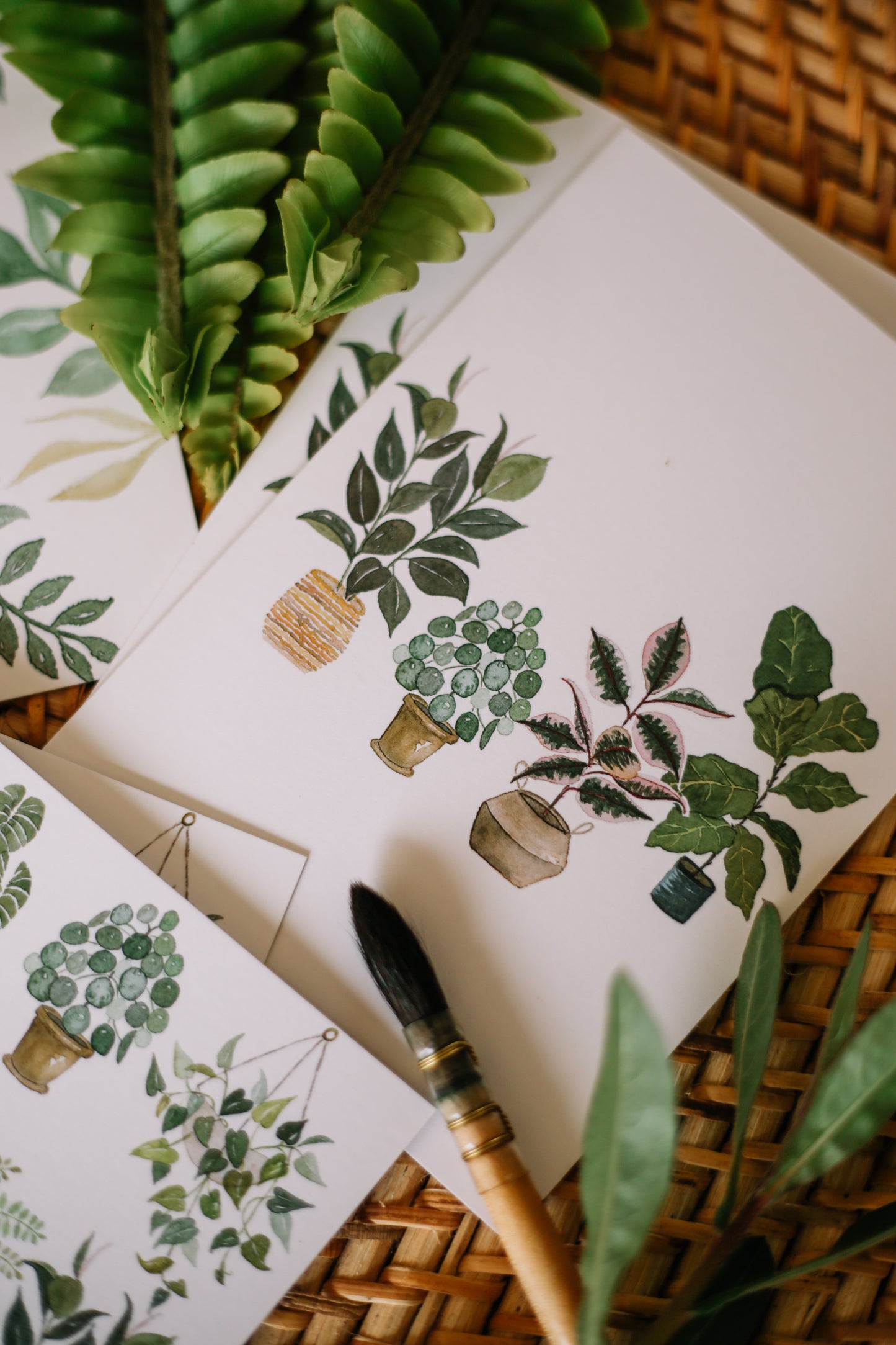 Botanical Greeting Cards