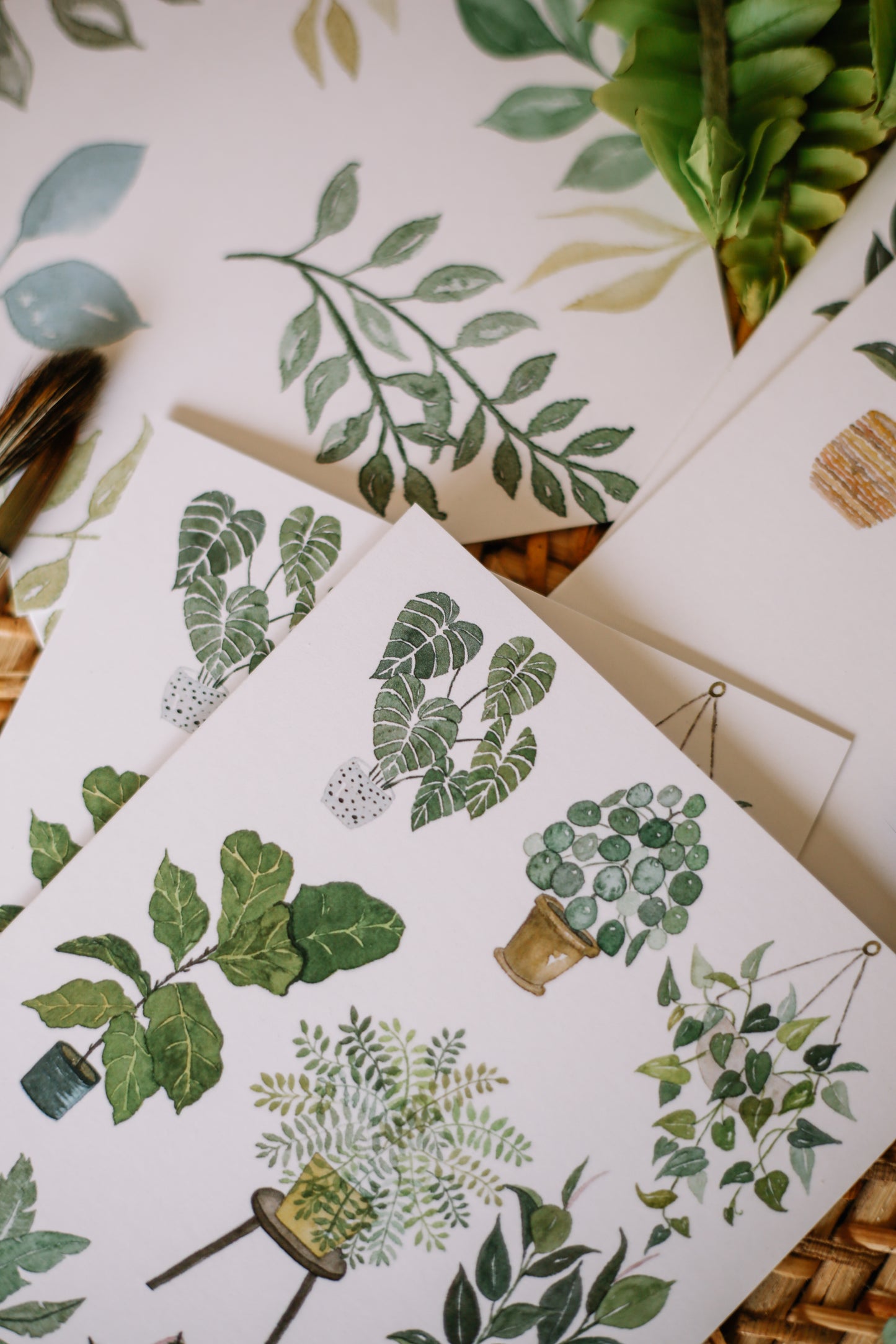 Botanical Greeting Cards