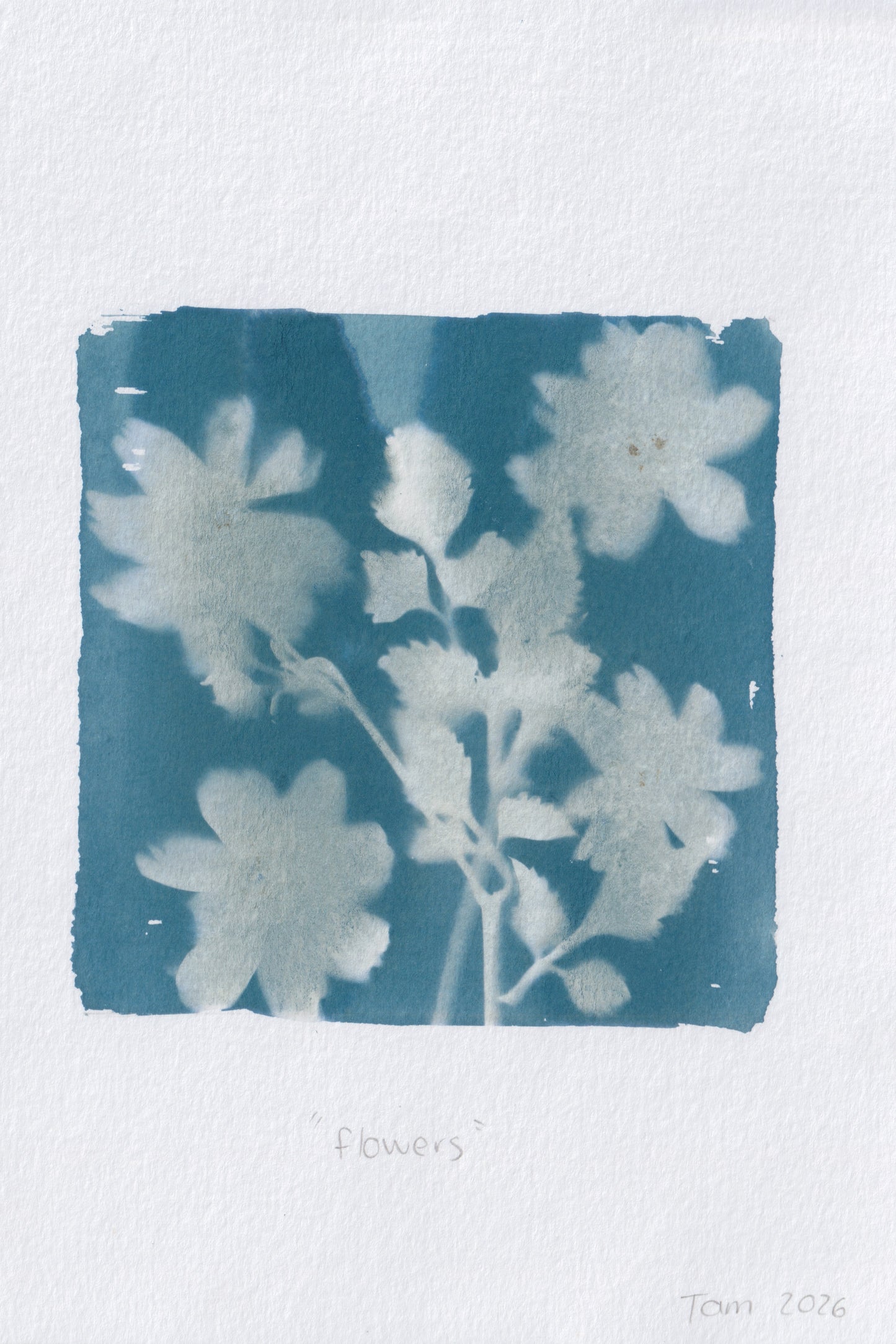 Flowers A5
