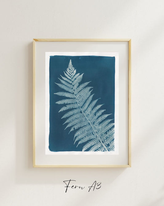 Fern A3