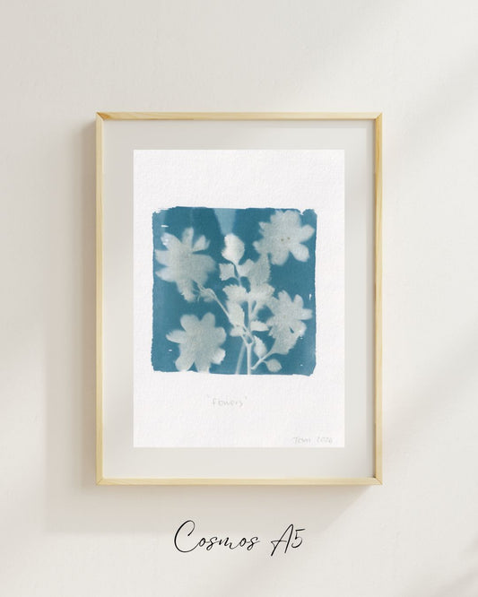 Flowers A5
